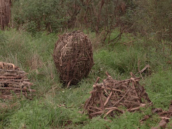 In a wild green outdoor location, a pair of hands is working with a handmade wooden nest-like structure