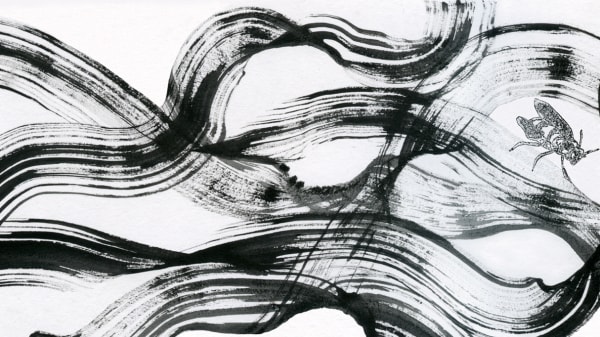 Illustration Drawn to Digital Short Course