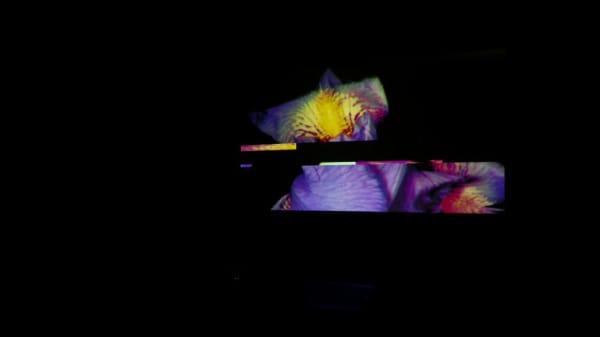 Experimental Film Online Short Course