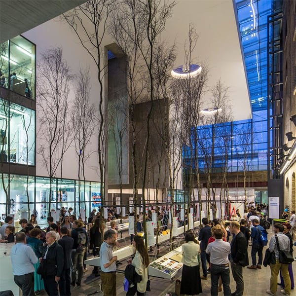 People viewing an installation which features rows of tall trees 