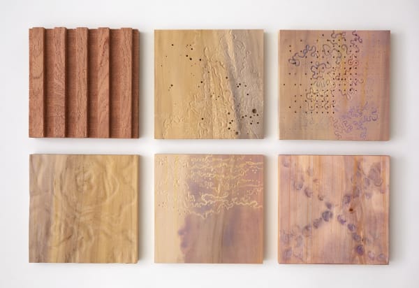 The Compost Atelier - Materials by Emily Boxall and Sean T Ross