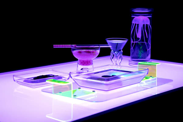 Black backdrop with still life with abstract bottles and glass containers lit by fluorescent lighting. 