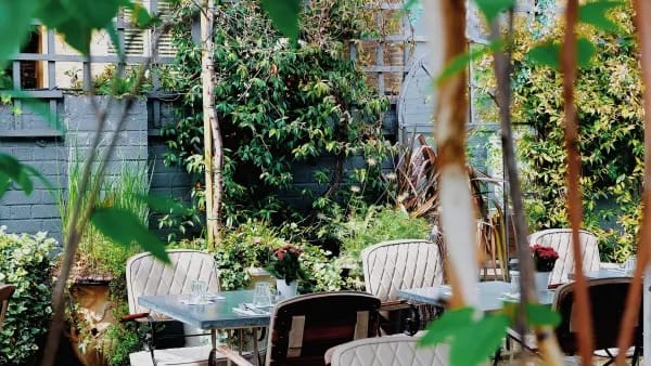 Bright, sunny garden with lots of green plants and trees and white chairs. 