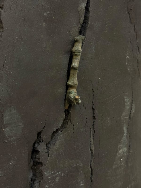 A branch embedded in a dark material