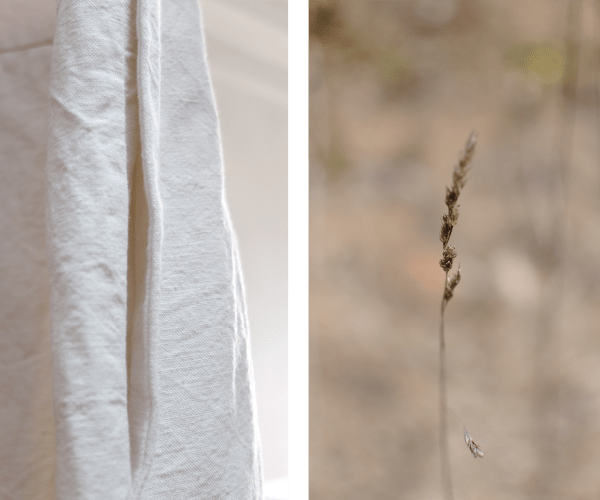 Colour and texture sampling in tune with dormant gardens and landscapes