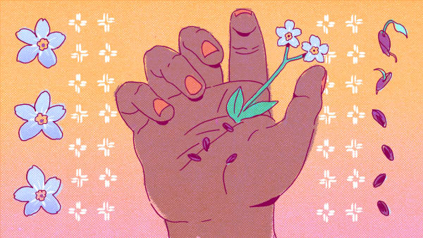 An illustrated hand with a plant growing from it, on top of  a yellow-orange gradient background