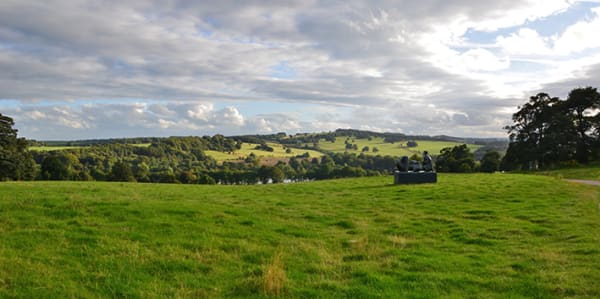 Photo of a green field at Yorkshire Sculpture Park
