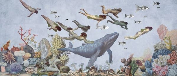 An underwater scene