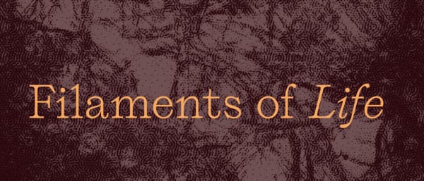A banner with the wording 'Filaments of Life'