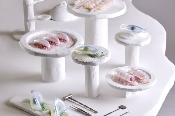 Range of plates on plinths with colourful mysterious foods