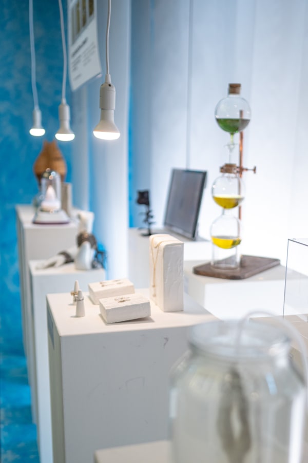 plinths of objects from MA Biodesign