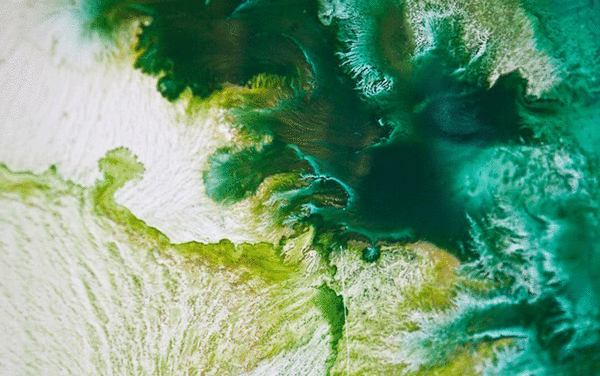 Green paint running into white 