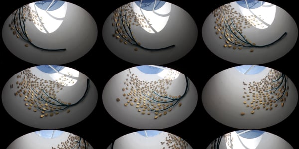 Art installed inside nine concrete silos 