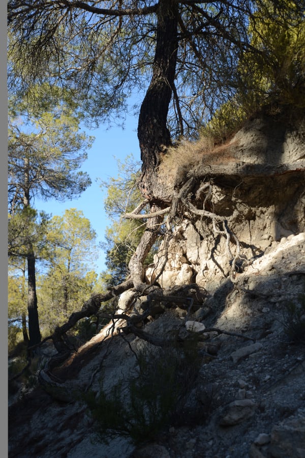 rocks in a shadow