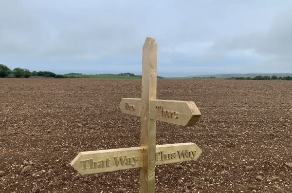 Image of a sign, pointing directions in a field.