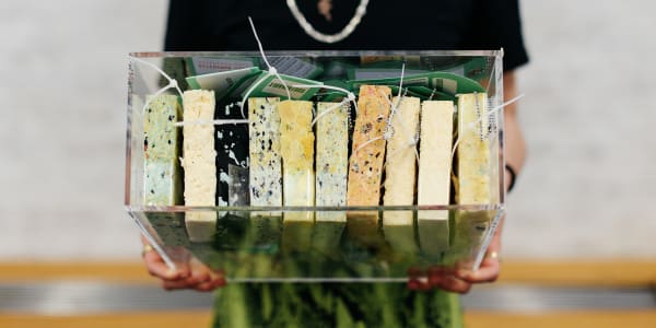 A person holding a box of different sustainable materials samples