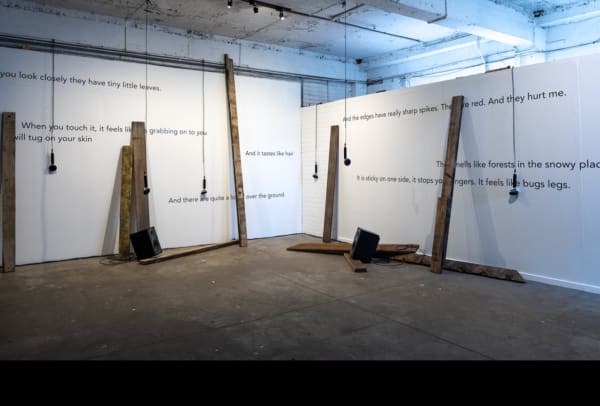 A sound installation featuring 2 white walls with hanging microphones and upright planks of wood against them. In front there are 2 loudspeakers on the floor.  The wall features lines of text such as, “If you look closely they have tiny little leaves”, “And it tastes like hair”, “This smells like forests in the snowy places.” Some of the text is obscured by the planks.