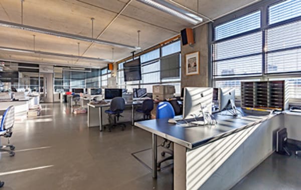 Sun streams into the newsroom, a room filled with desks and workstations.