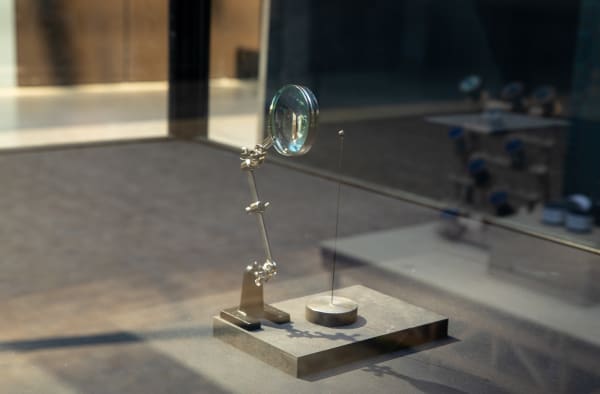 An information seed mounted on a display next to a magnifying glass