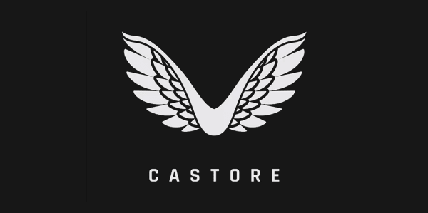 white bird wings with sans serif blocky font below that reads Castore