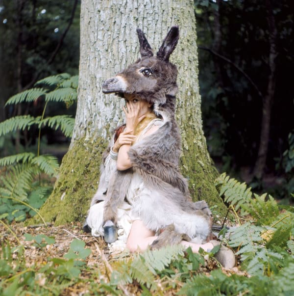 A scene from Donkeyskin with a human sat against a free wearing a donkey skin and head.