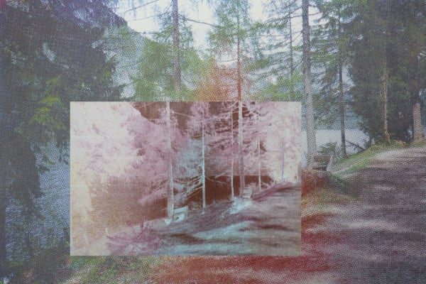 Photographic print of forest and lake by Pippa Healy - MA Fine Art: Printmaking.