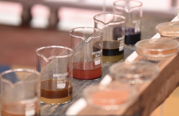 A series of glass laboratory beakers in a line, with different multicoloured liquids in them 