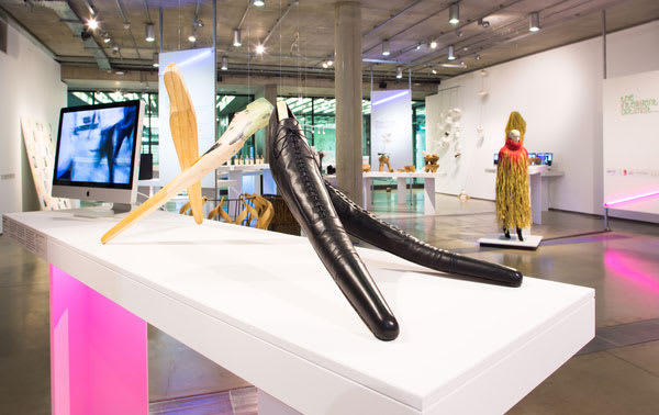 A very long shoe on display in the Lethaby Gallery