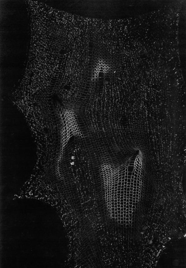 Black lattice object