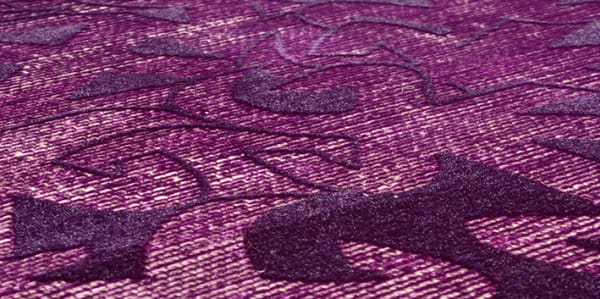 Image of a purple book cover
