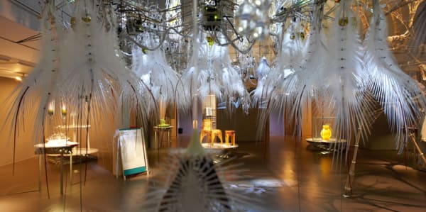 Feathered objects hanging from the ceiling 