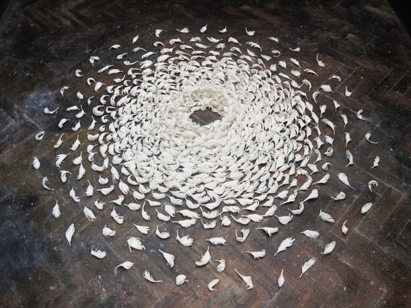 installation showing a circle of white feathers. 
