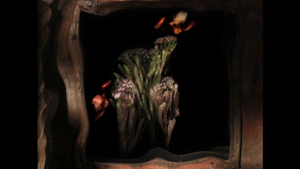 A slightly grainy digital image of a colourful plant scene from nature against a black background