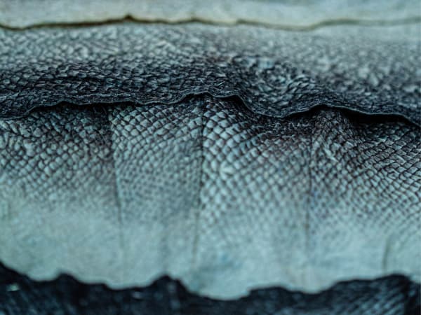 Close up of fish skin raw showing scales pattern.