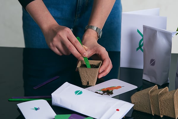 Student work from MA Service Design showing seeds and flower plant packets being sown