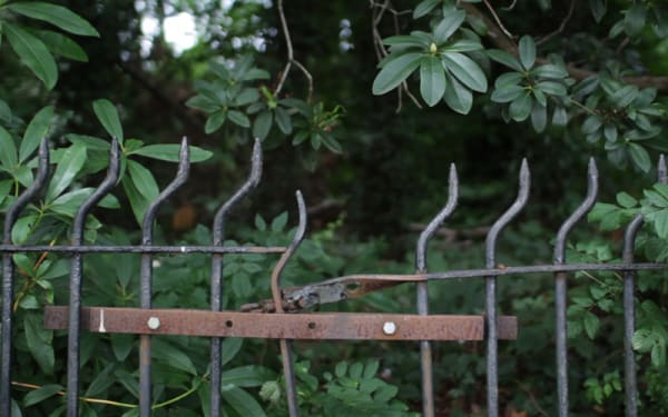 Broken iron fence in some greenery