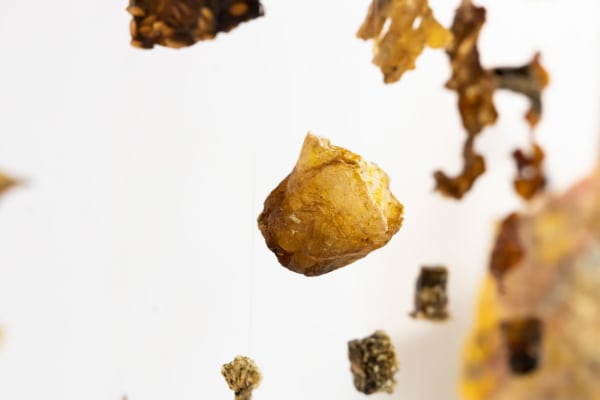 close up of an installation of delicate brown suspended materials