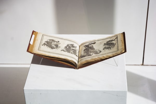 Inside the CSM Museum and Study Collection Short Course | On campus