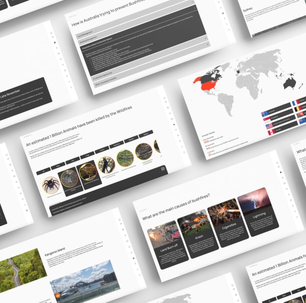 Series of screenshots of information design.