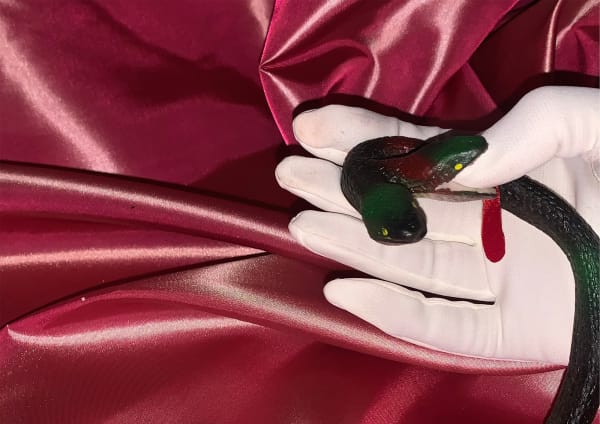 Human hand in white glove on burgundy silk fabricbeing bitten by a plastic snake.