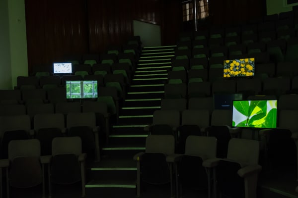 An empty, dimly lit theater with rows of dark seats. Four illuminated screens display nature-themed images, creating a contrast against the dark ambiance.