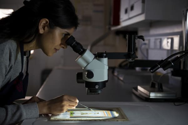 Woman looking through a microscope