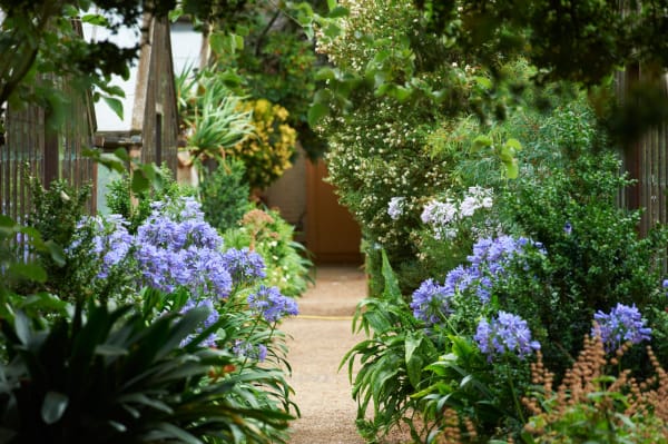 Photograph of Chelsea Physic Garden Garden 
