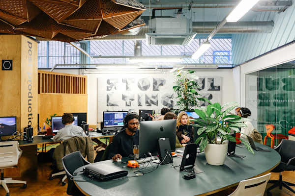 Wide angle view of students sitting at desks on computers amid lots of pot plants