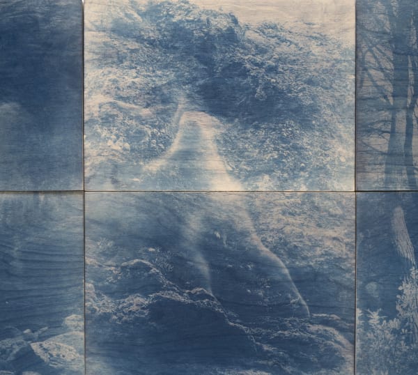 Close-up of a photographic work showing blue trees.