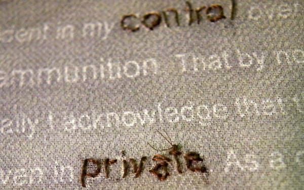 Human hair embroidered onto cloth with printed text