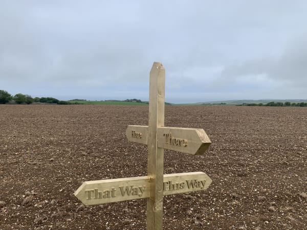 Image of a sign, pointing directions in a field.