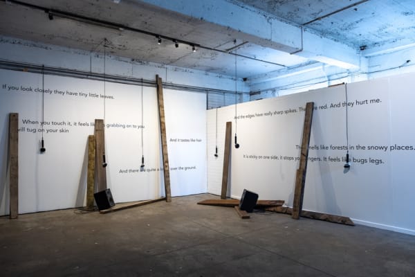 A sound installation featuring 2 white walls with hanging microphones and upright planks of wood against them. In front there are 2 loudspeakers on the floor.  The wall features lines of text such as, “If you look closely they have tiny little leaves”, “And it tastes like hair”, “This smells like forests in the snowy places.” Some of the text is obscured by the planks.