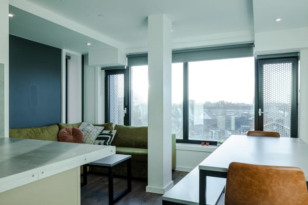 Shared kitchen view showing the dinning table, a corner soaf decorated with pillows, showing the view and sunset through large windows.
