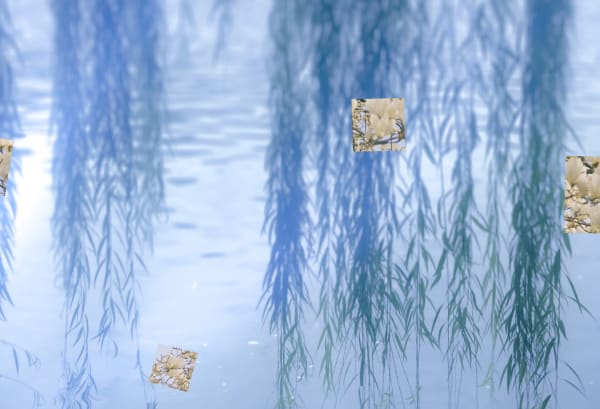 Still from a film showing a close-up of water with photographs super-imposed over the top.